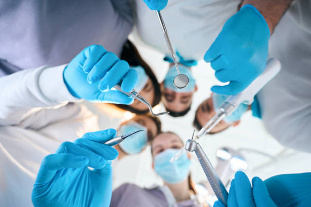 Professional Dental Services in Avonia, PA